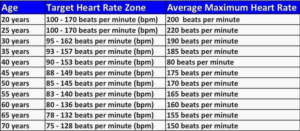  Fat Burning Heart Rate 