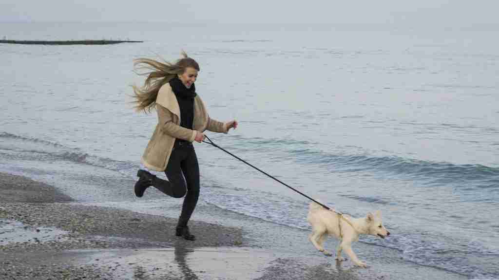 12 Best Tips On How To Love Running 12 Best Tips On How To Love Running