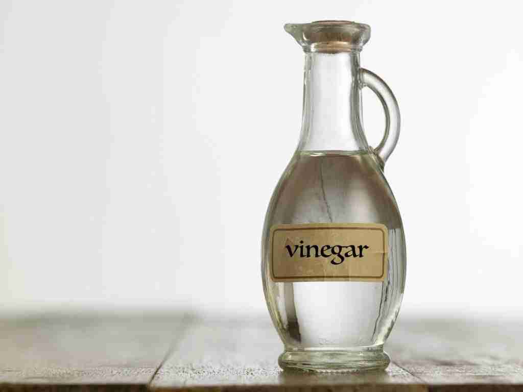 difference between apple cider vinegar and white vinegar