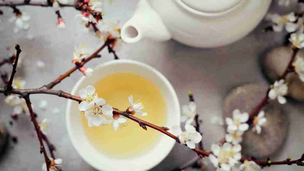 The Best Ten Teas For Weight Loss