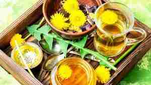 Herbalife Weight Loss Programmes Herbalife Australia