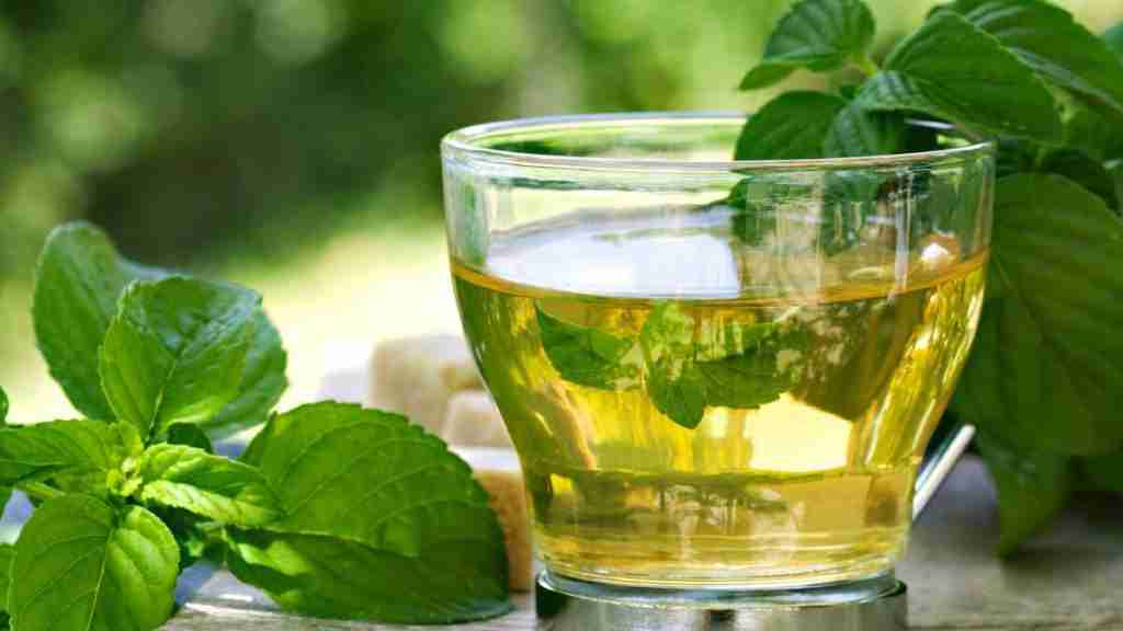 The Best Ten Teas For Weight Loss