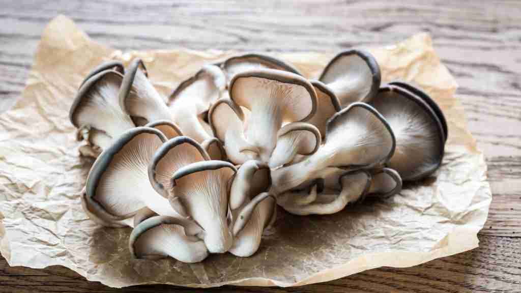 These 9 Mushrooms Have The Most Protein