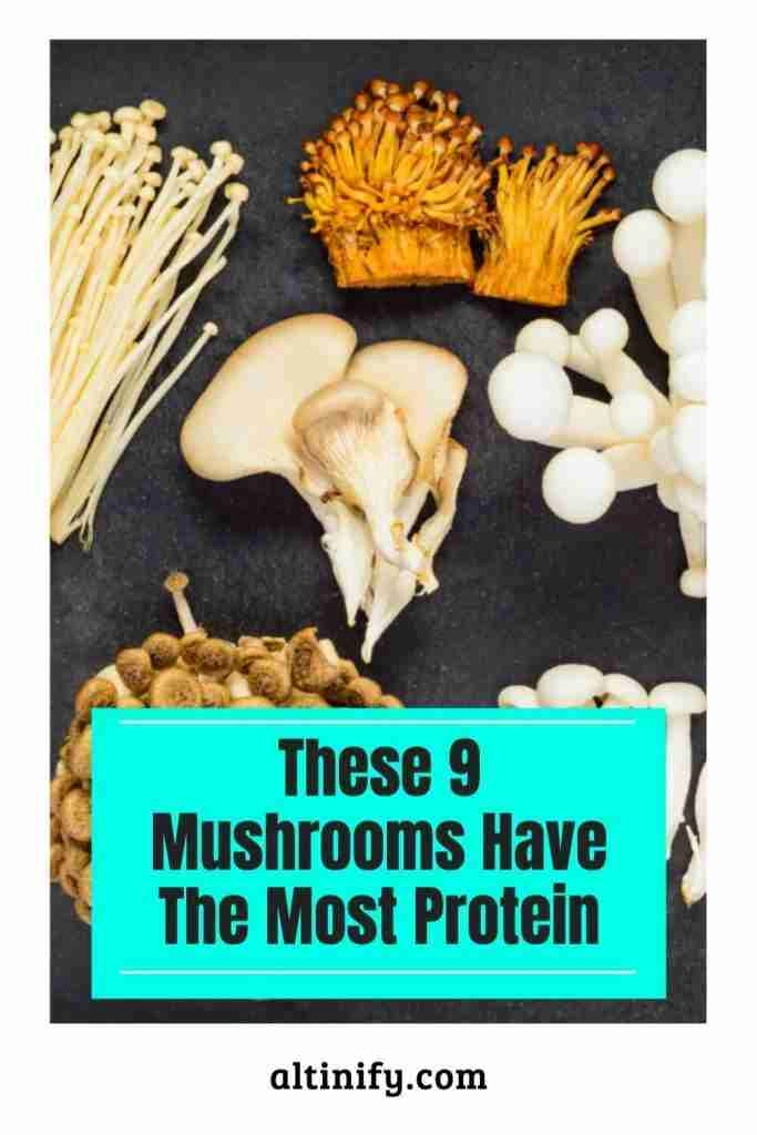 These 9 Mushrooms Have The Most Protein Altinify