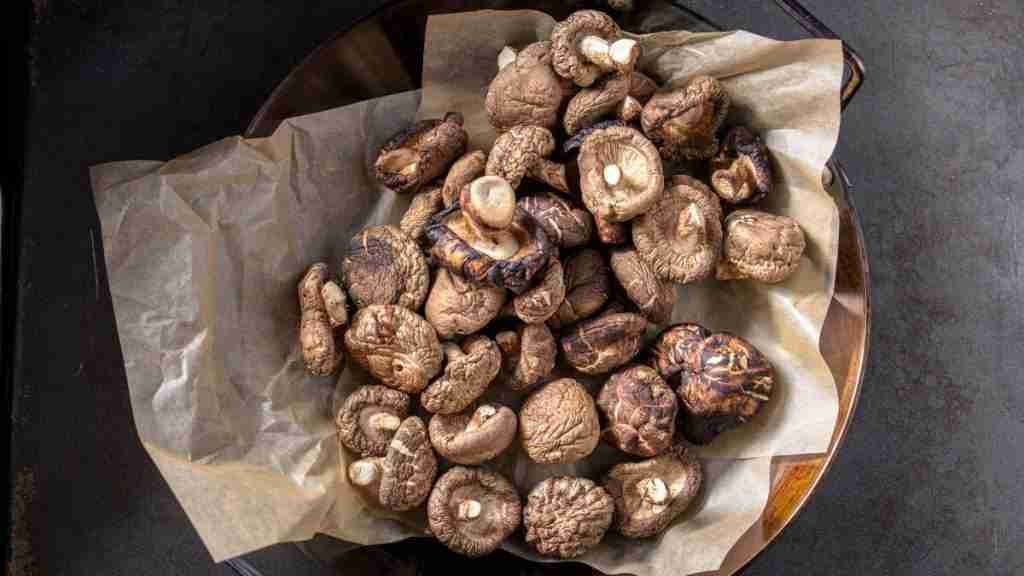 These 9 Mushrooms Have The Most Protein