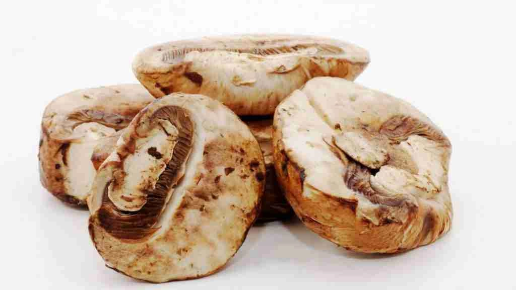 These 9 Mushrooms Have The Most Protein