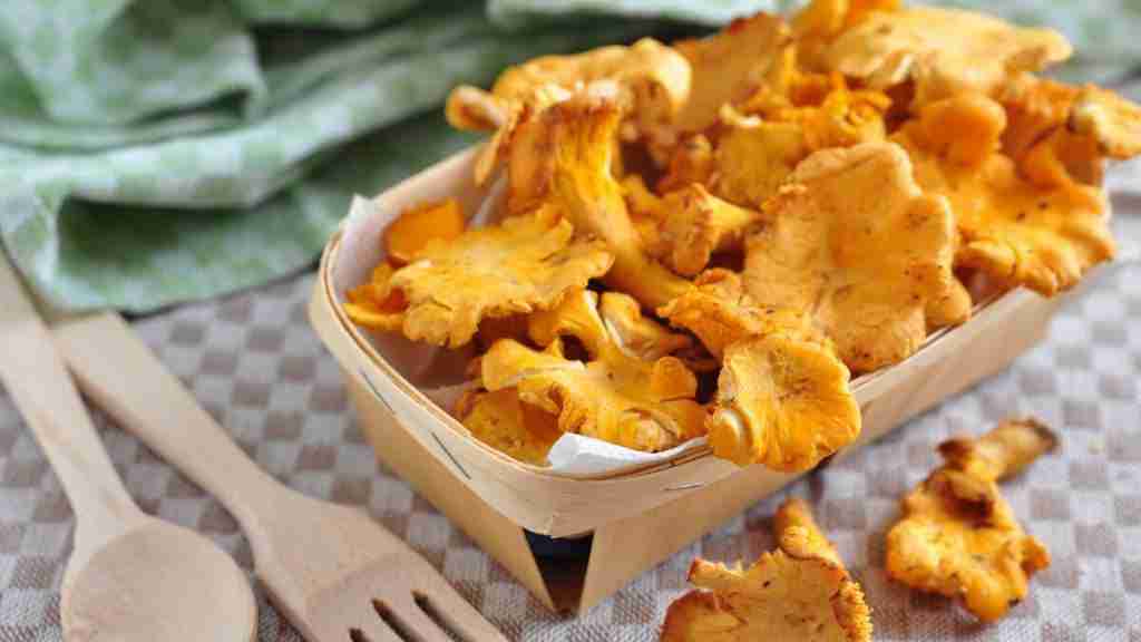 These 9 Mushrooms Have The Most Protein