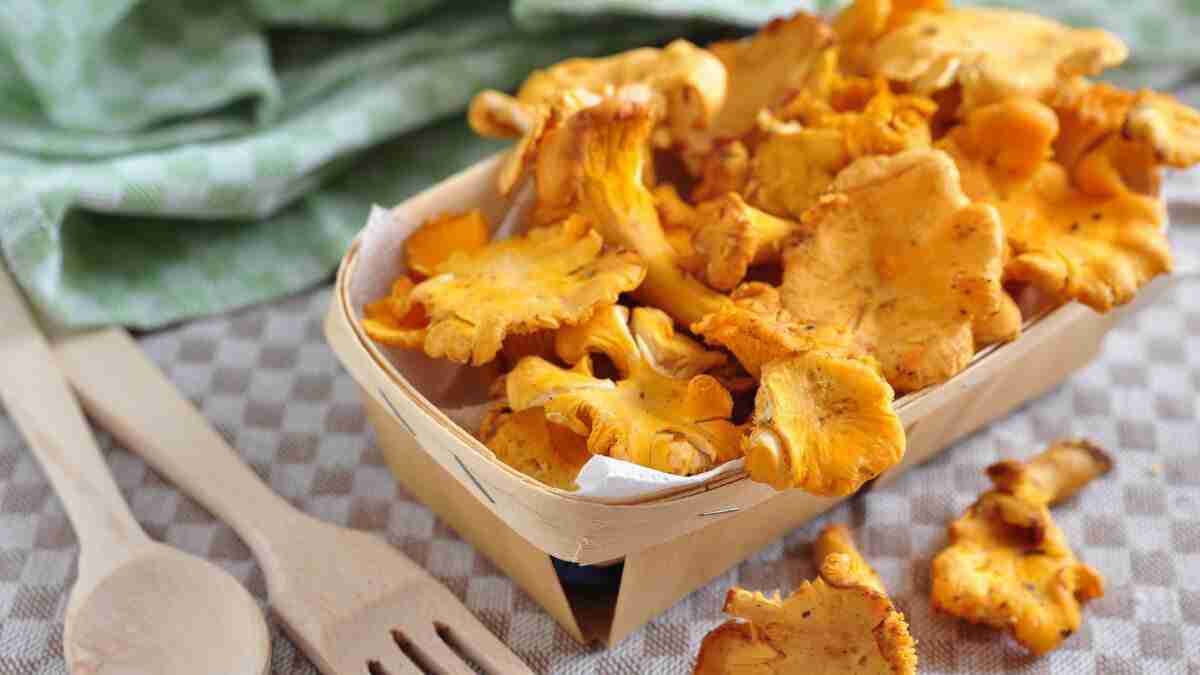 These 9 Mushrooms Have The Most Protein Altinify