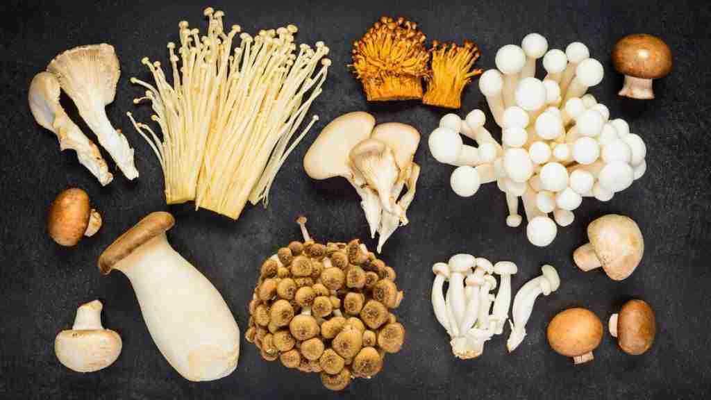 These 9 Mushrooms Have The Most Protein 9 These 9 Mushrooms Have The Most Protein