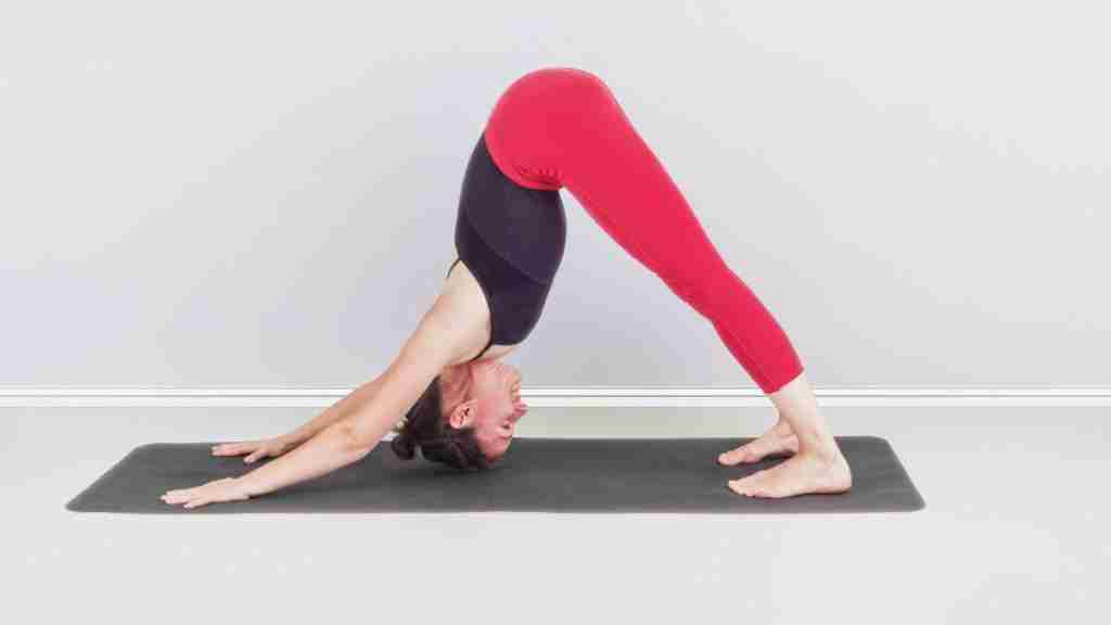 Yoga Poses for the Digestive System
