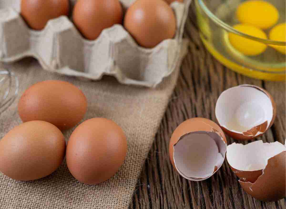 What Do Raw Eggs Taste Like Here's What I Think! Altinify