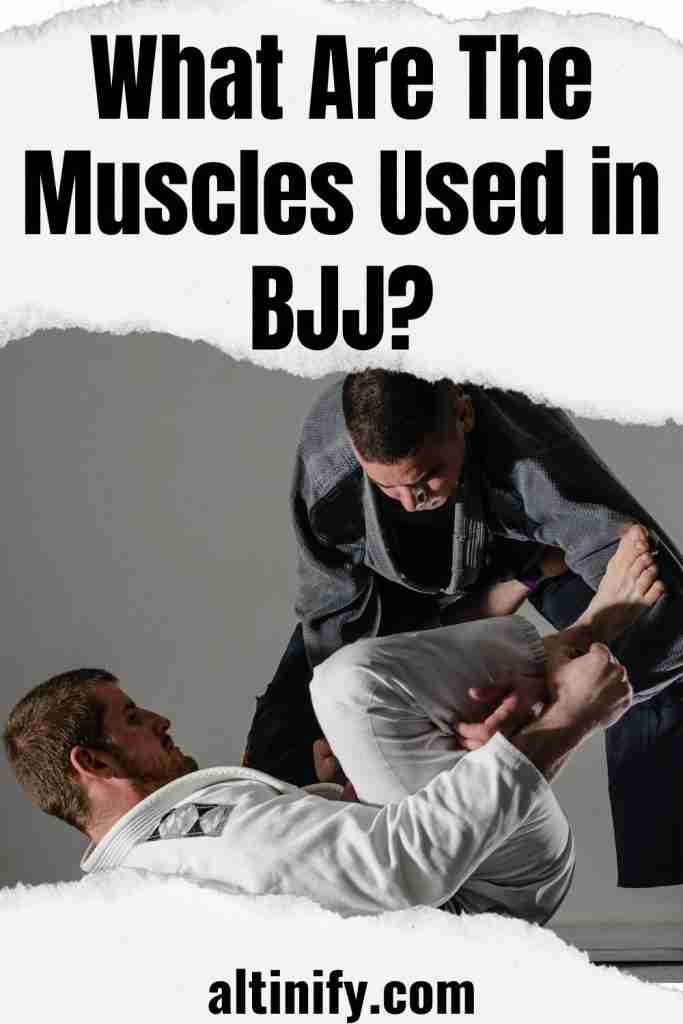 What Are The Muscles Used In BJJ? (Including The Best Exercises For BJJ