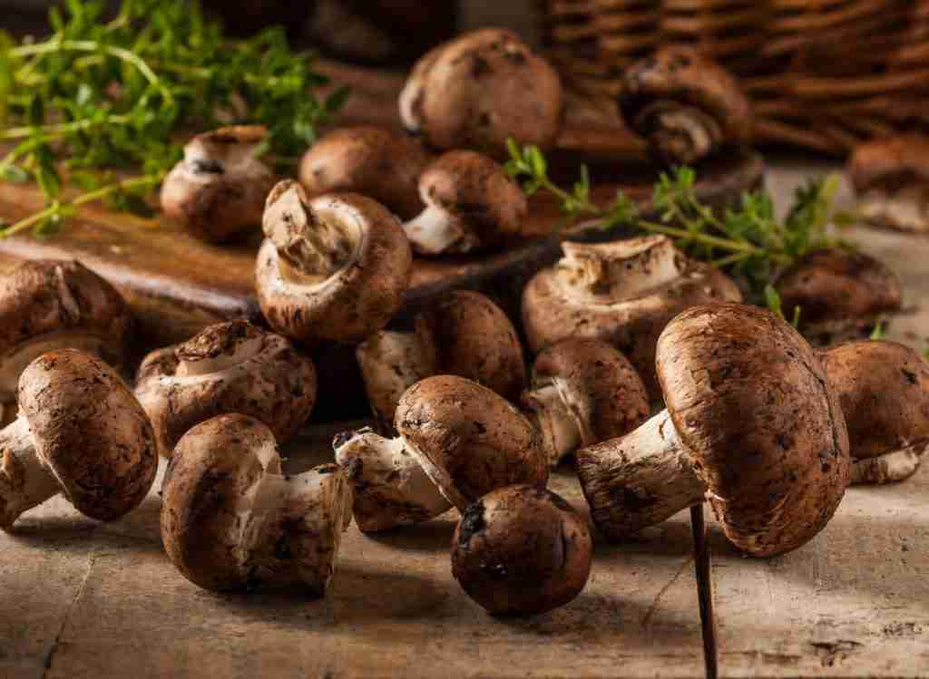 12 Portobello Mushroom Benefits And Side Effects