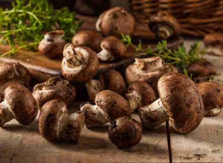 12 Portobello Mushroom Benefits And Side Effects Altinify
