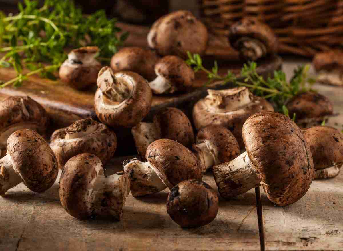 12 Portobello Mushroom Benefits And Side Effects Altinify