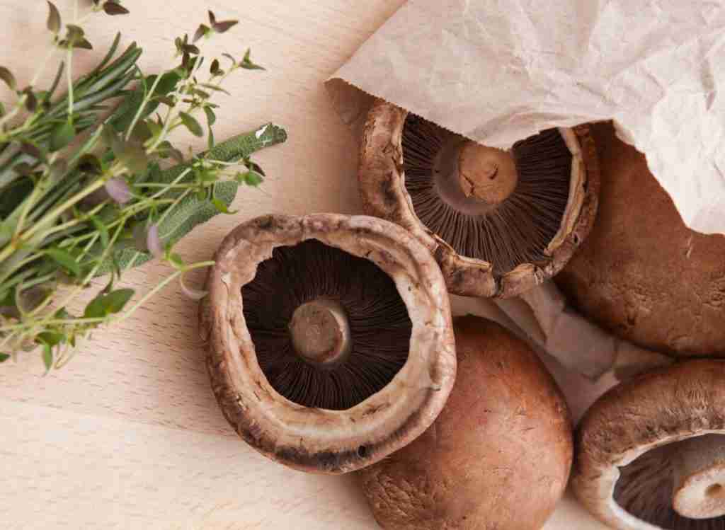 12 Portobello Mushroom Benefits And Side Effects