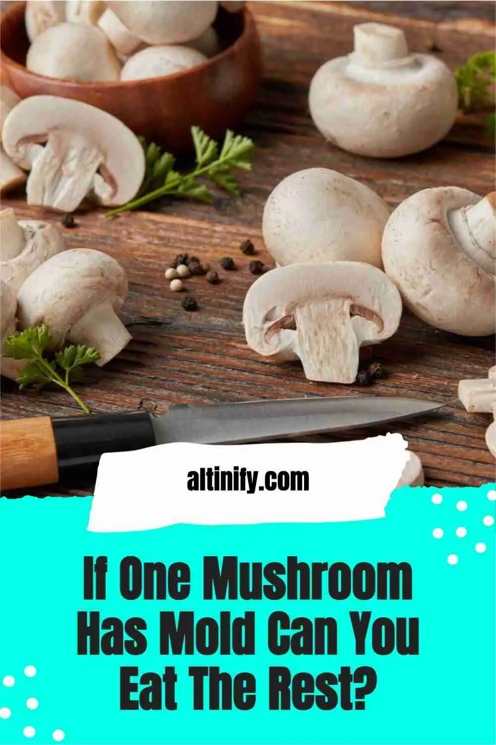 If One Mushroom Has Mold Can You Eat The Rest? (Here’s what experts say!)