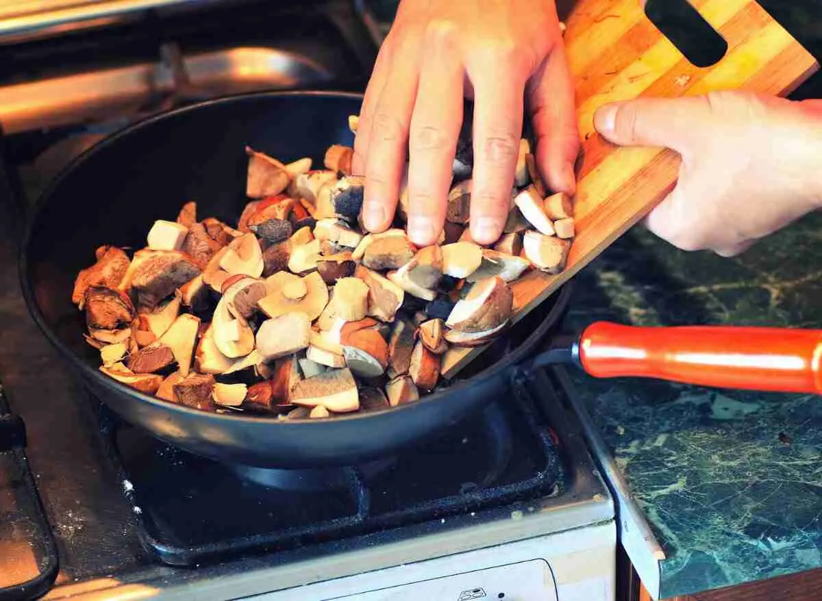 If One Mushroom Has Mold Can You Eat The Rest? (Here’s What Experts Say