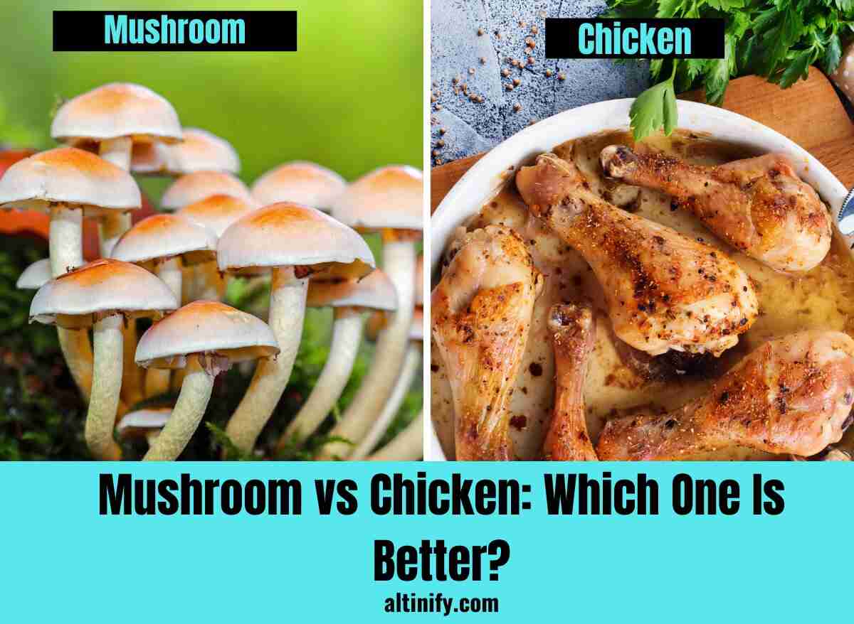 Mushroom Vs. Chicken Which One Is Better? Altinify