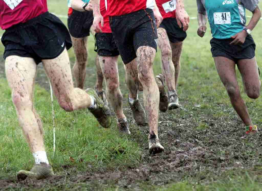 Top 15 Pros And Cons Of Running Cross Country