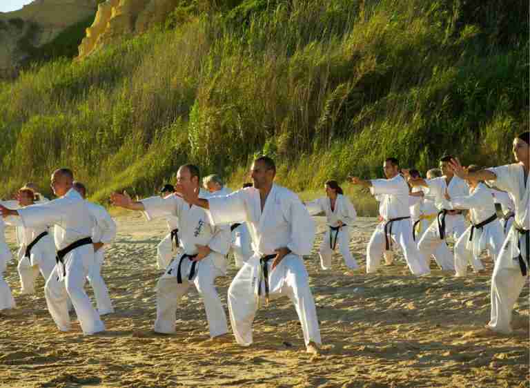 Jiu Jitsu Vs. Karate Which One Is Better? Altinify