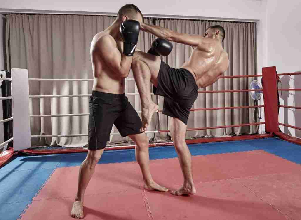 Krav Maga vs Muay Thai Which One Should You Choose 2