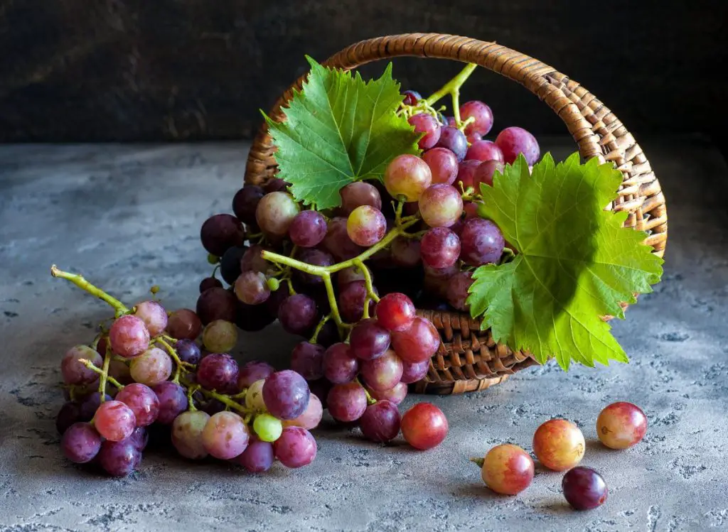 Are Grapes Good For Weight Loss