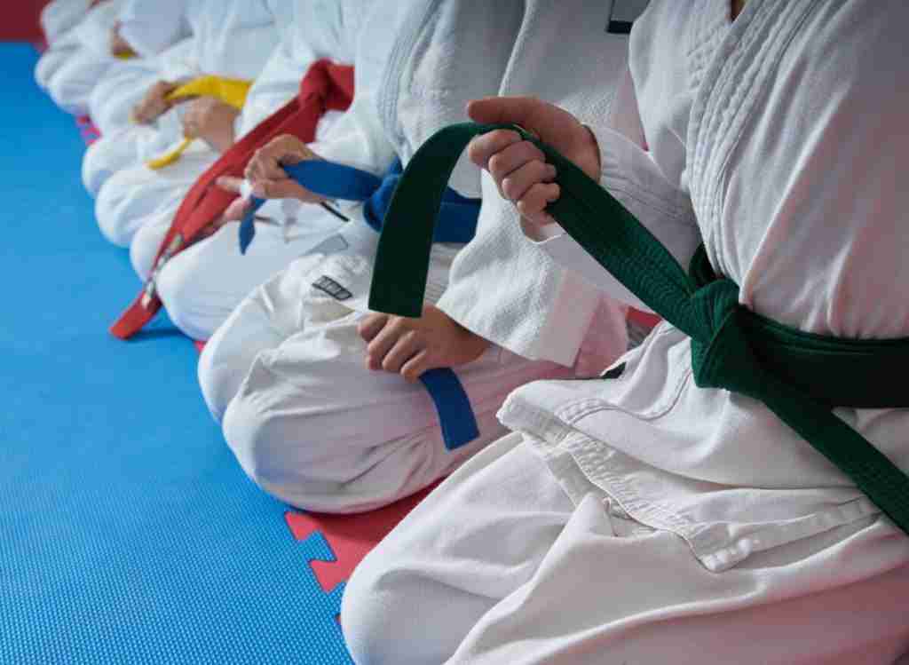 Karate advantages and disadvantages